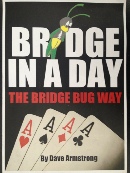 Bridge in a day